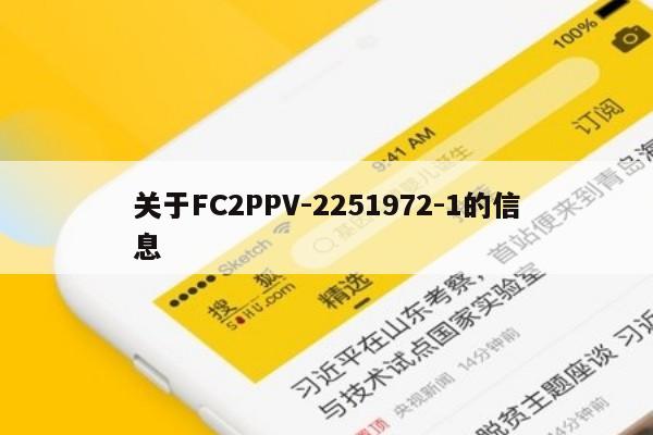 关于FC2PPV-2251972-1的信息