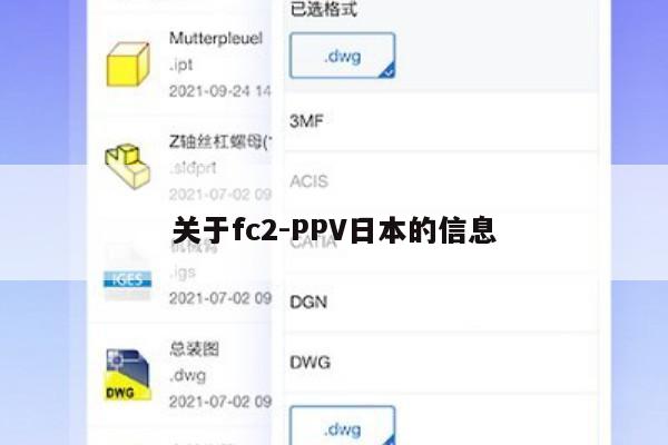 关于fc2-PPV日本的信息